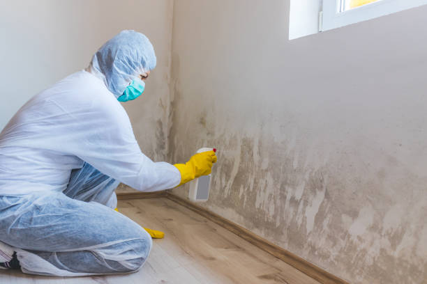 Mold Remediation specialist working in Church Hill